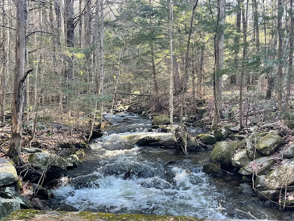Ceda-T Trail