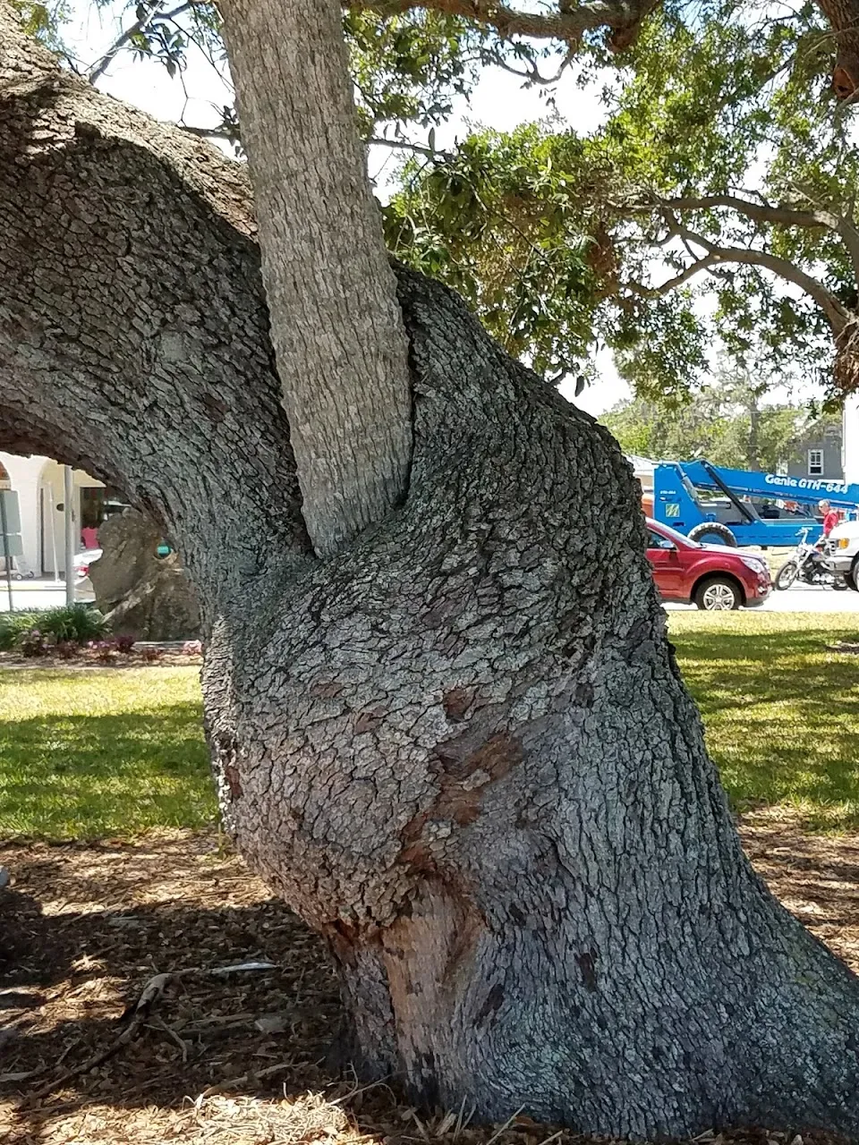 Sams Avenue Parking Lot