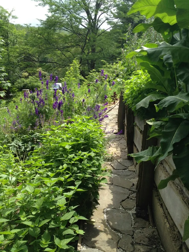 Raven Crest Botanicals