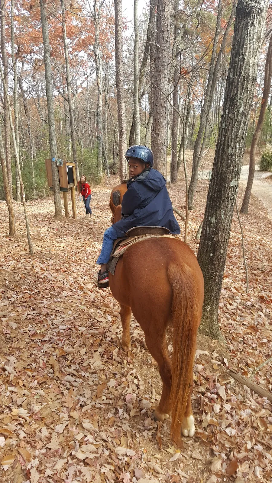 Horse Whisperer Cabin