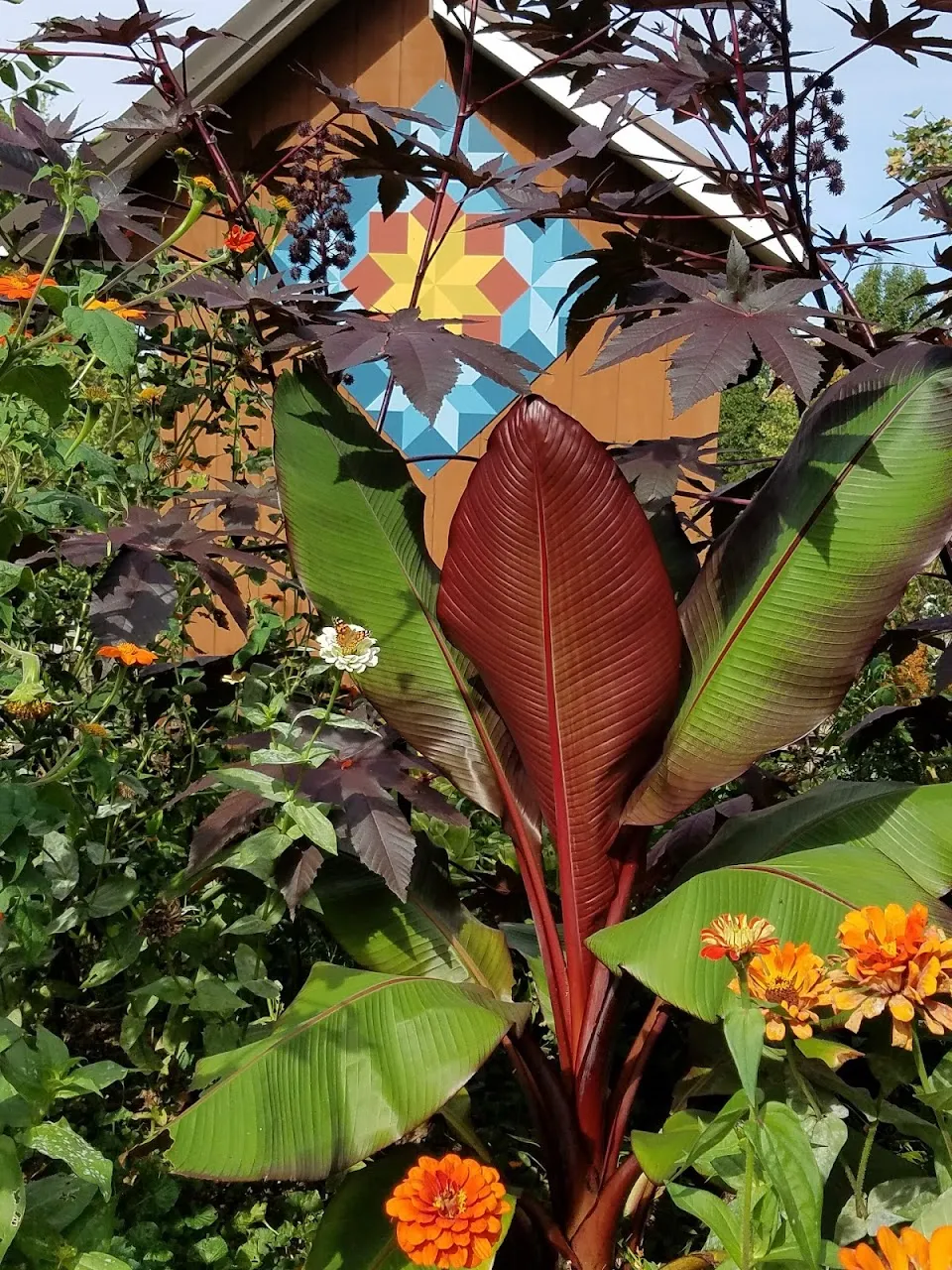 The Farmacy Garden