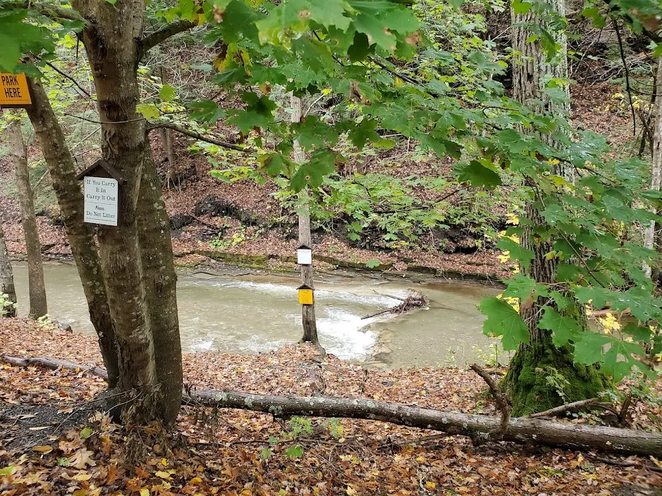 Steele Creek Fishing Access Site NYS DEC