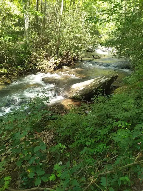 Coleman River Trail