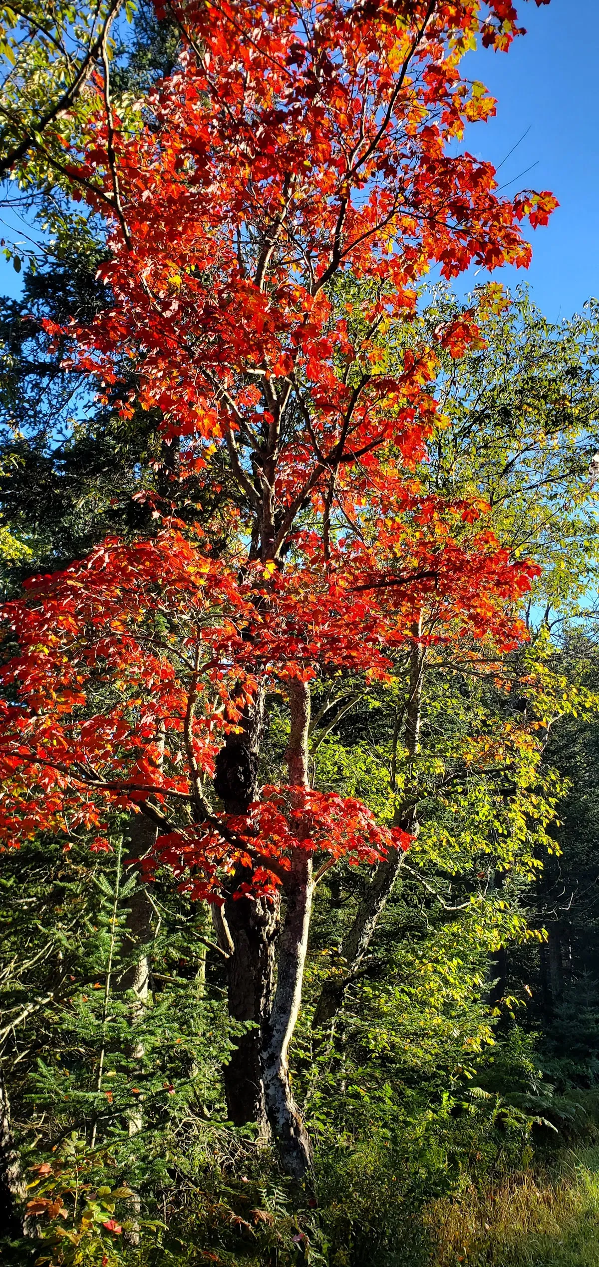 Fisher Lot Trailhead
