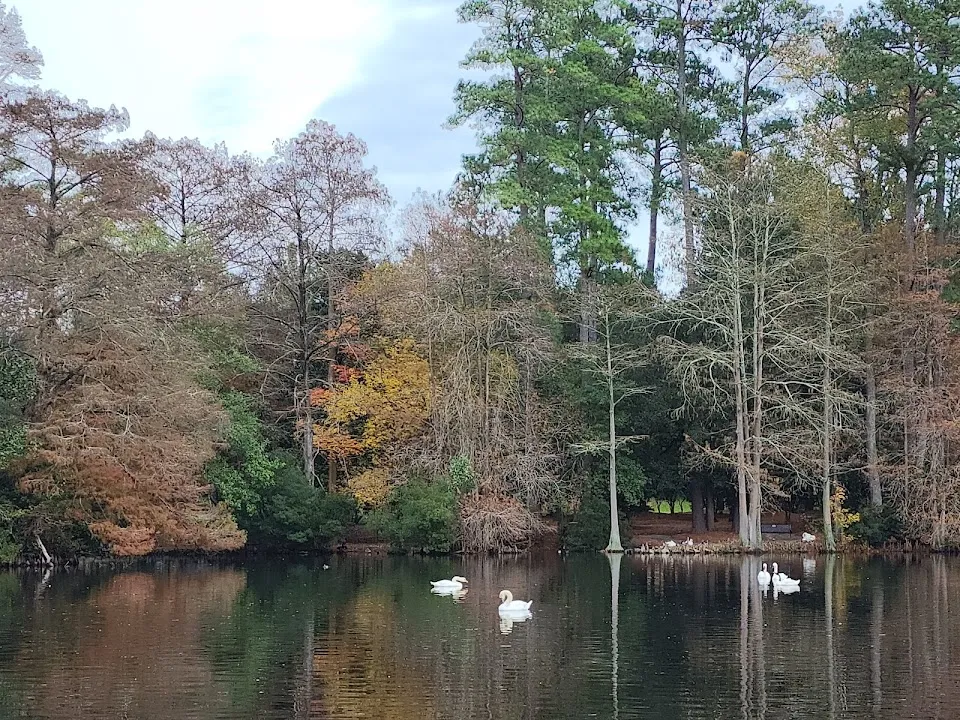 Swan Lake Iris Gardens