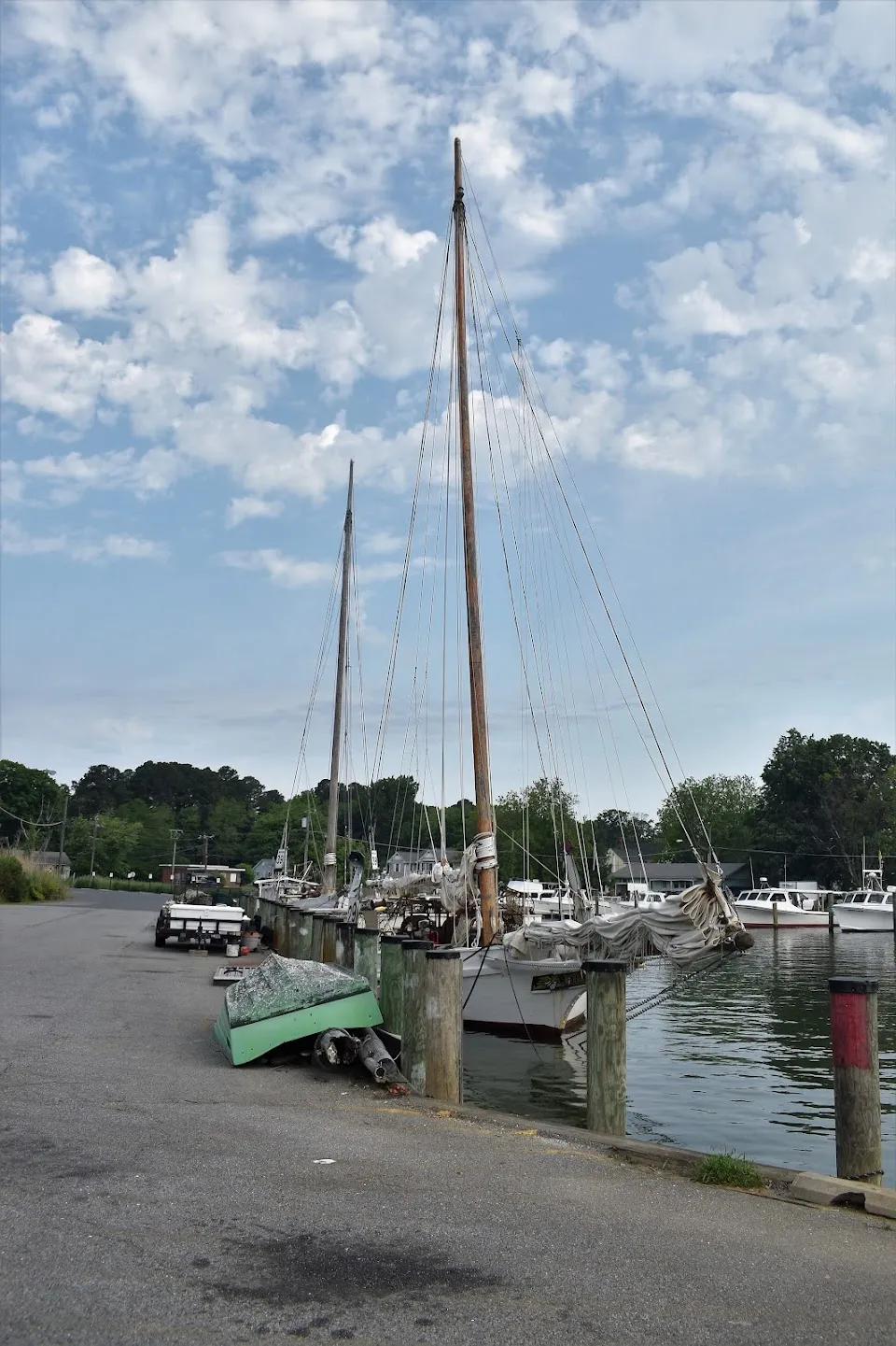 Dogwood Harbor