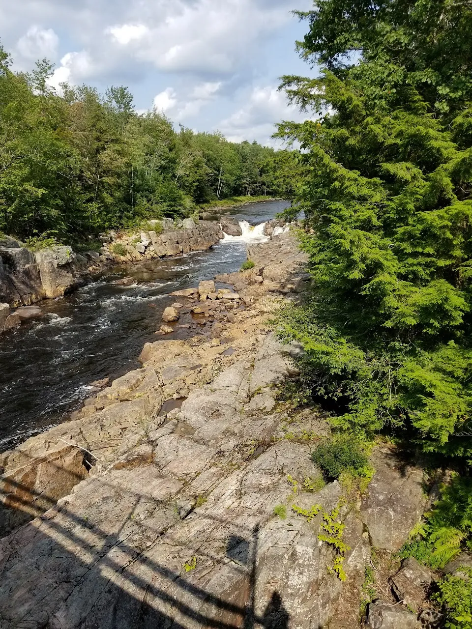 Black Creek State Forest