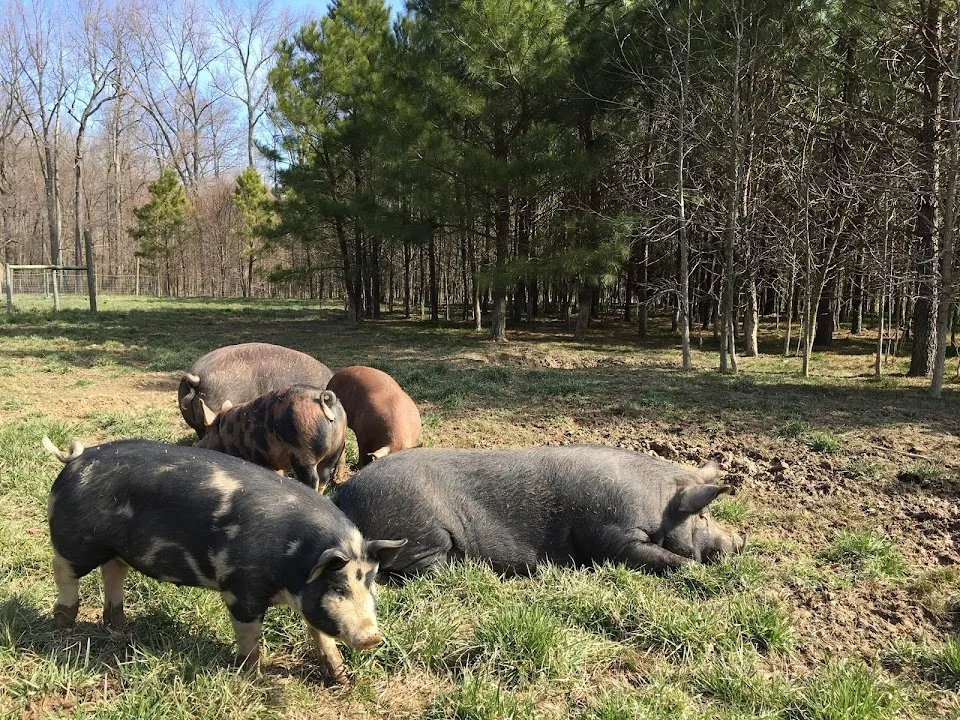 Cottingham Farm
