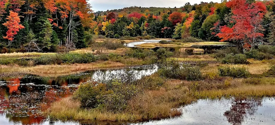 Old Forge