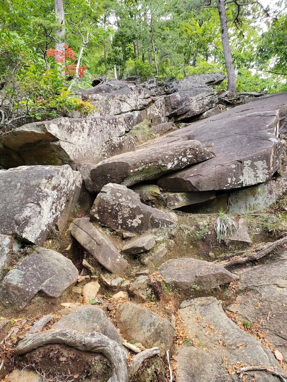 Bridal Veil Falls