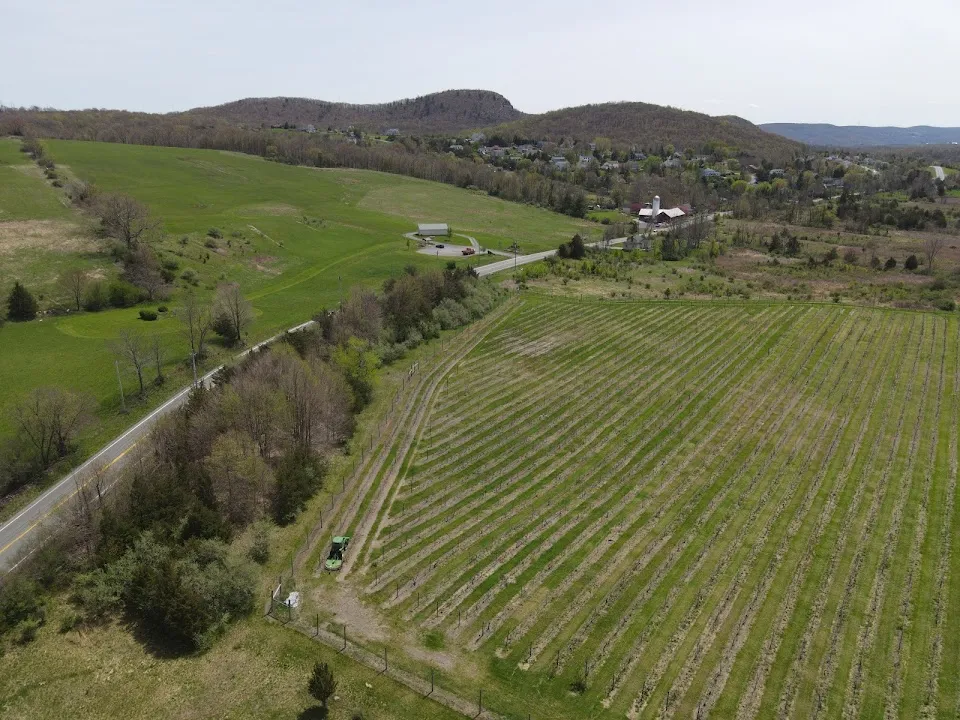 Océane Vineyards and Winery