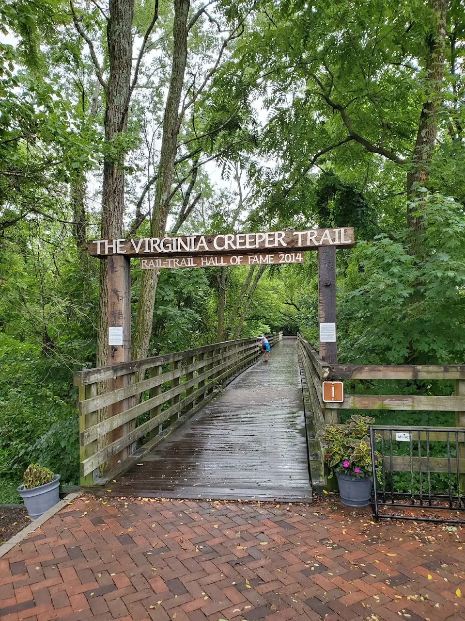 Virginia Creeper Abingdon Terminus