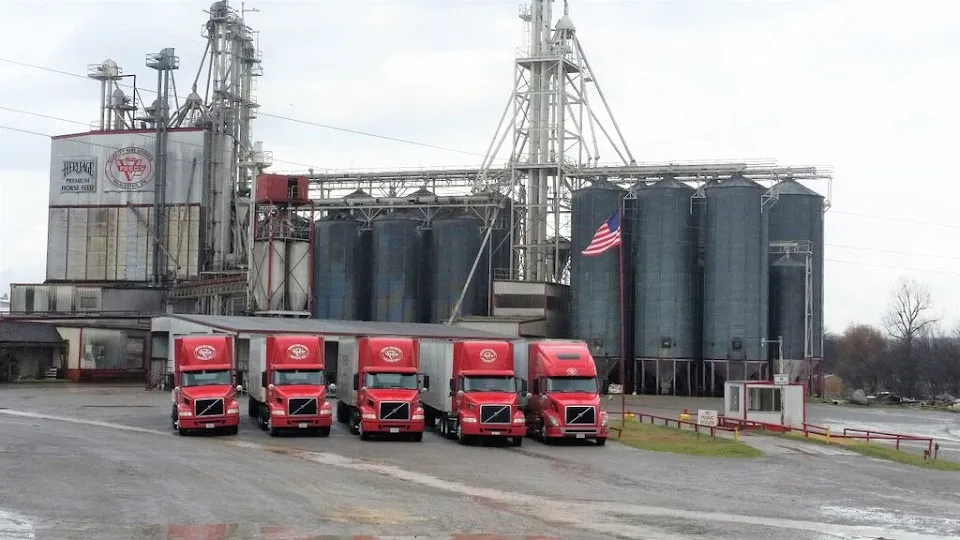 Big V Feeds Inc
