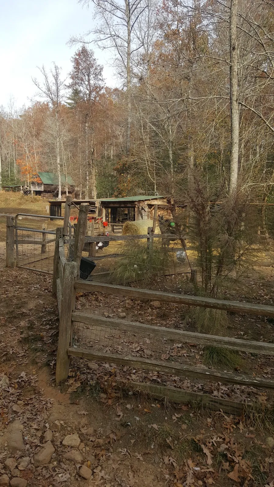 Horse Whisperer Cabin