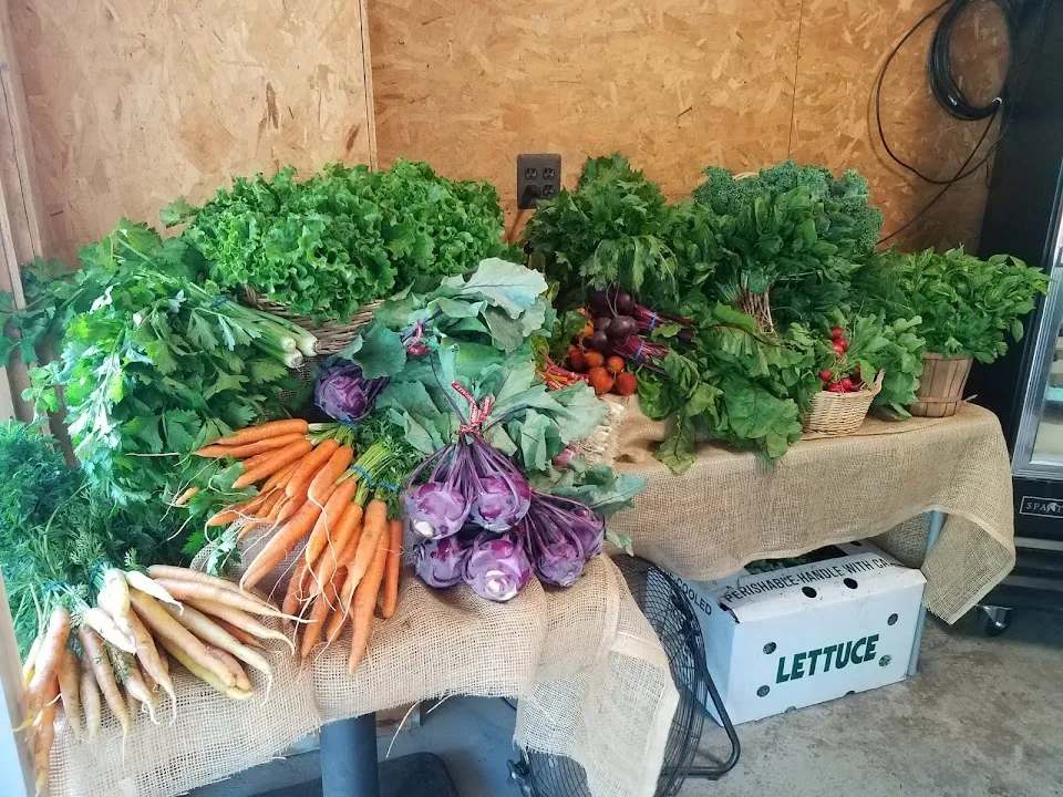 Chester Ag Center Farmstore