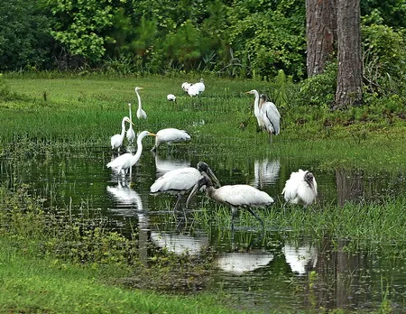 The Club at Pelican Bay