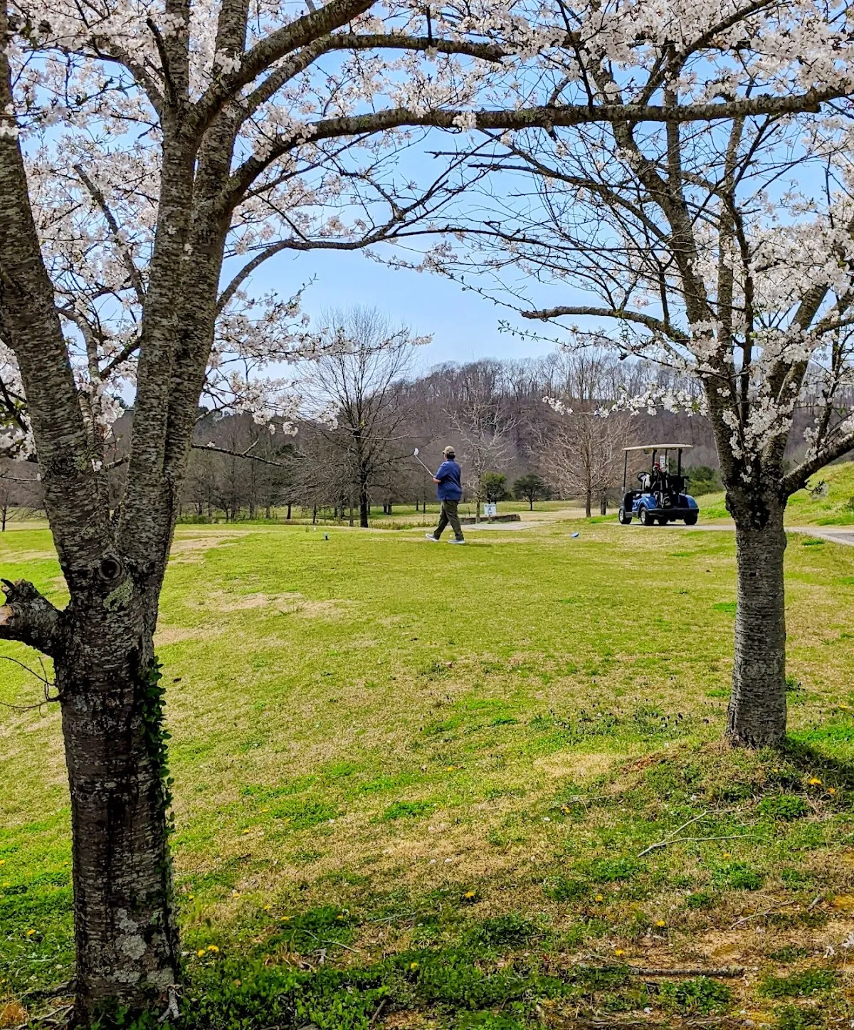 Pebble Brook Golf Course