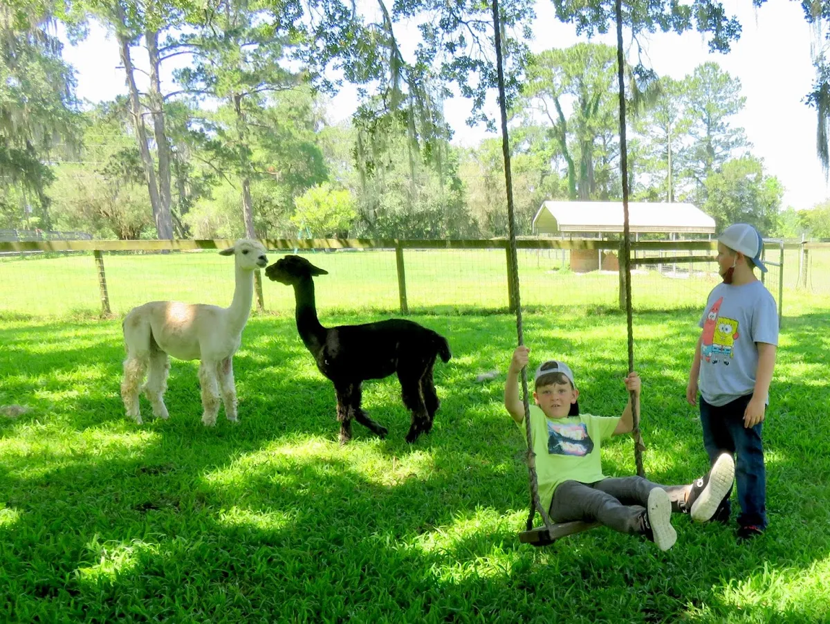 Golden Rainbow Ranch