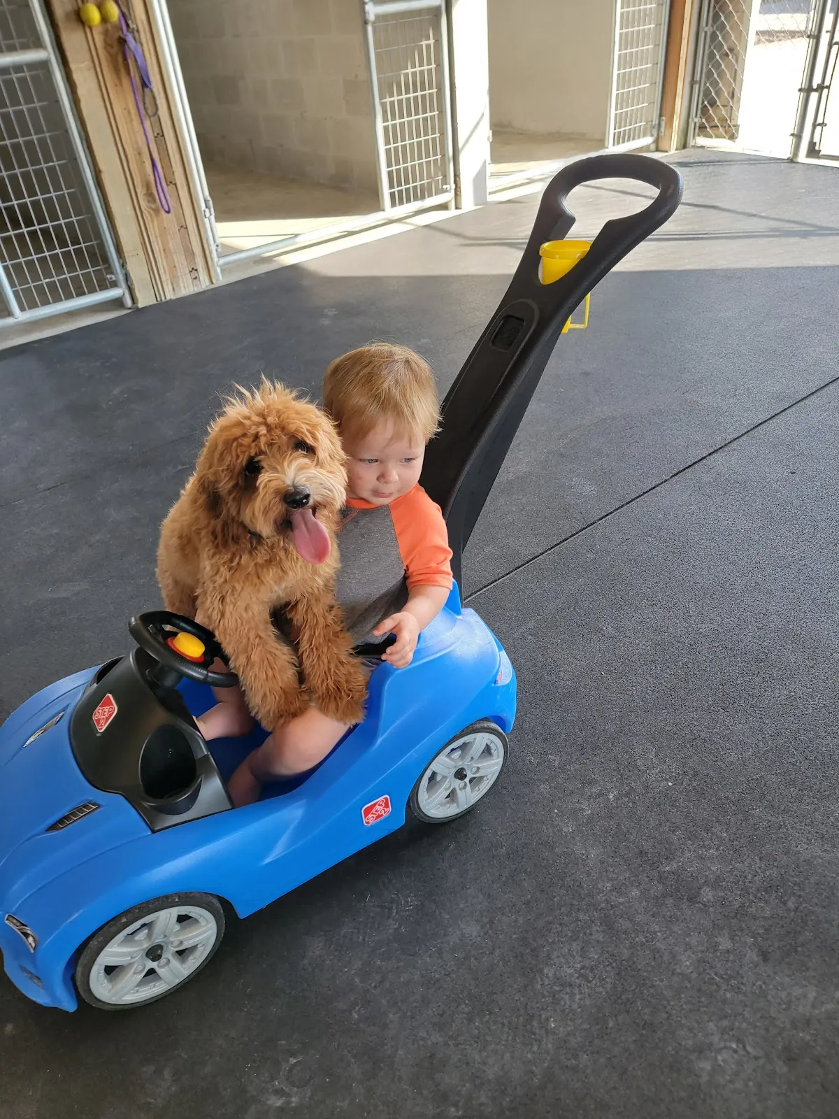 SuperDog Center