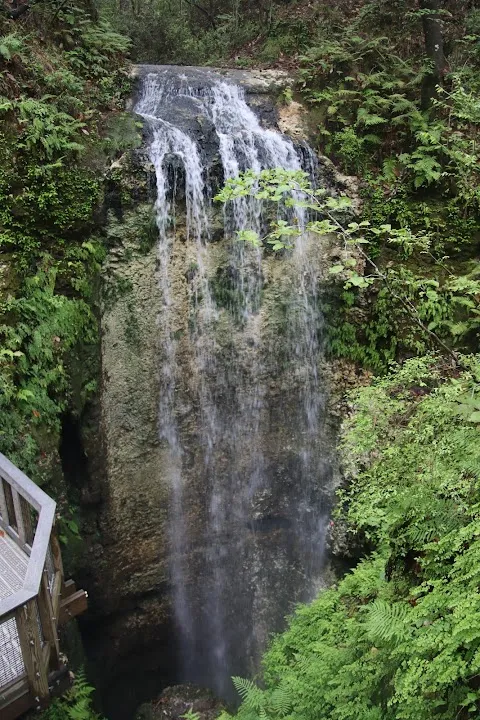 Falling Waters State Park
