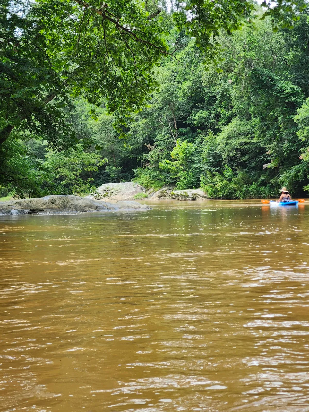 Dan River Company