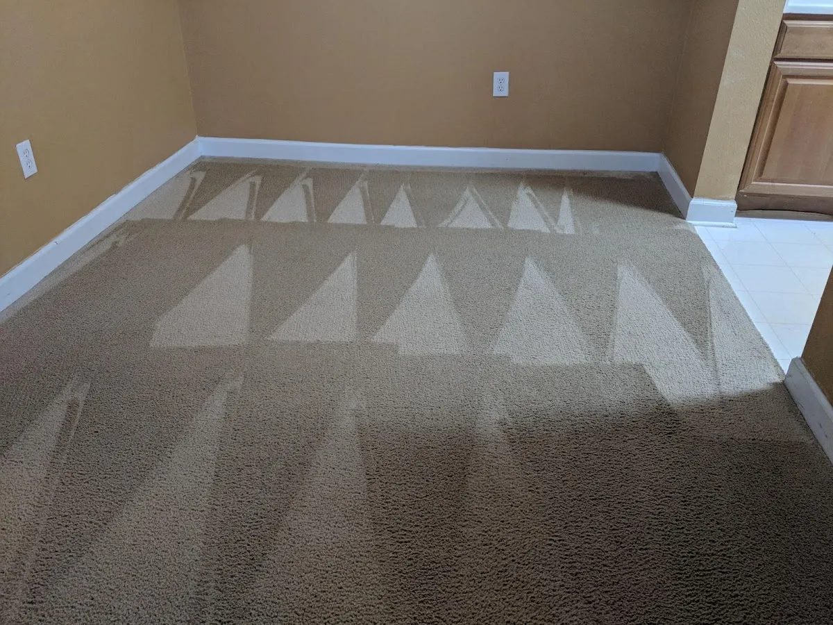 Professional Green Cleaners