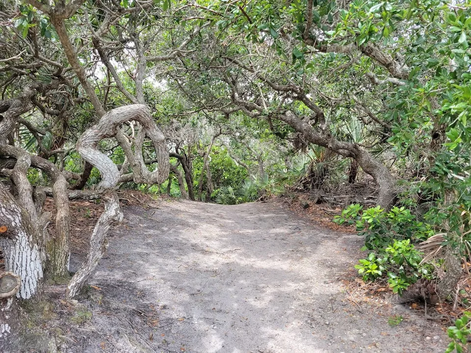 Ponce Inlet Preserve
