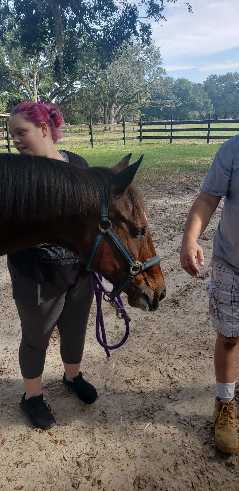 Glover's Stables