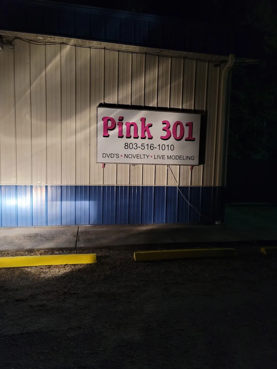 Pink 301