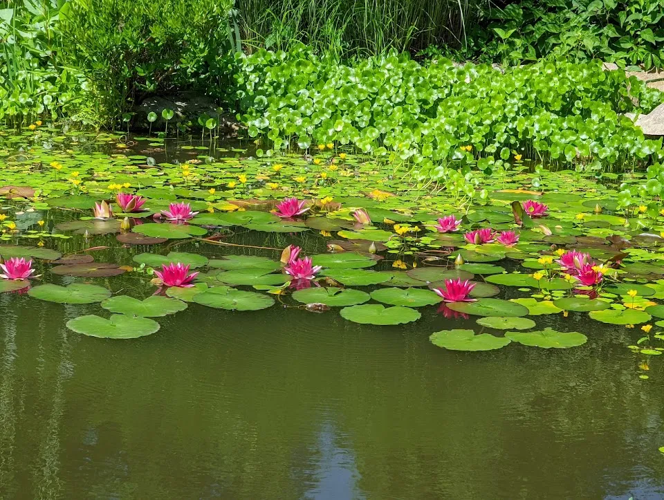 Hahn Horticulture Garden