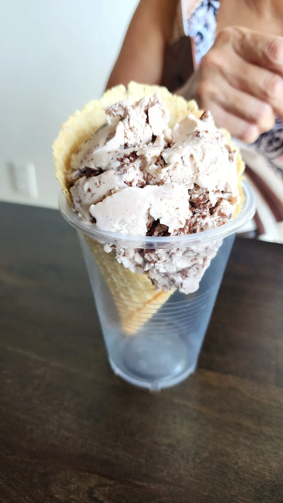 Buzzed Bull Creamery - Brooksville, FL