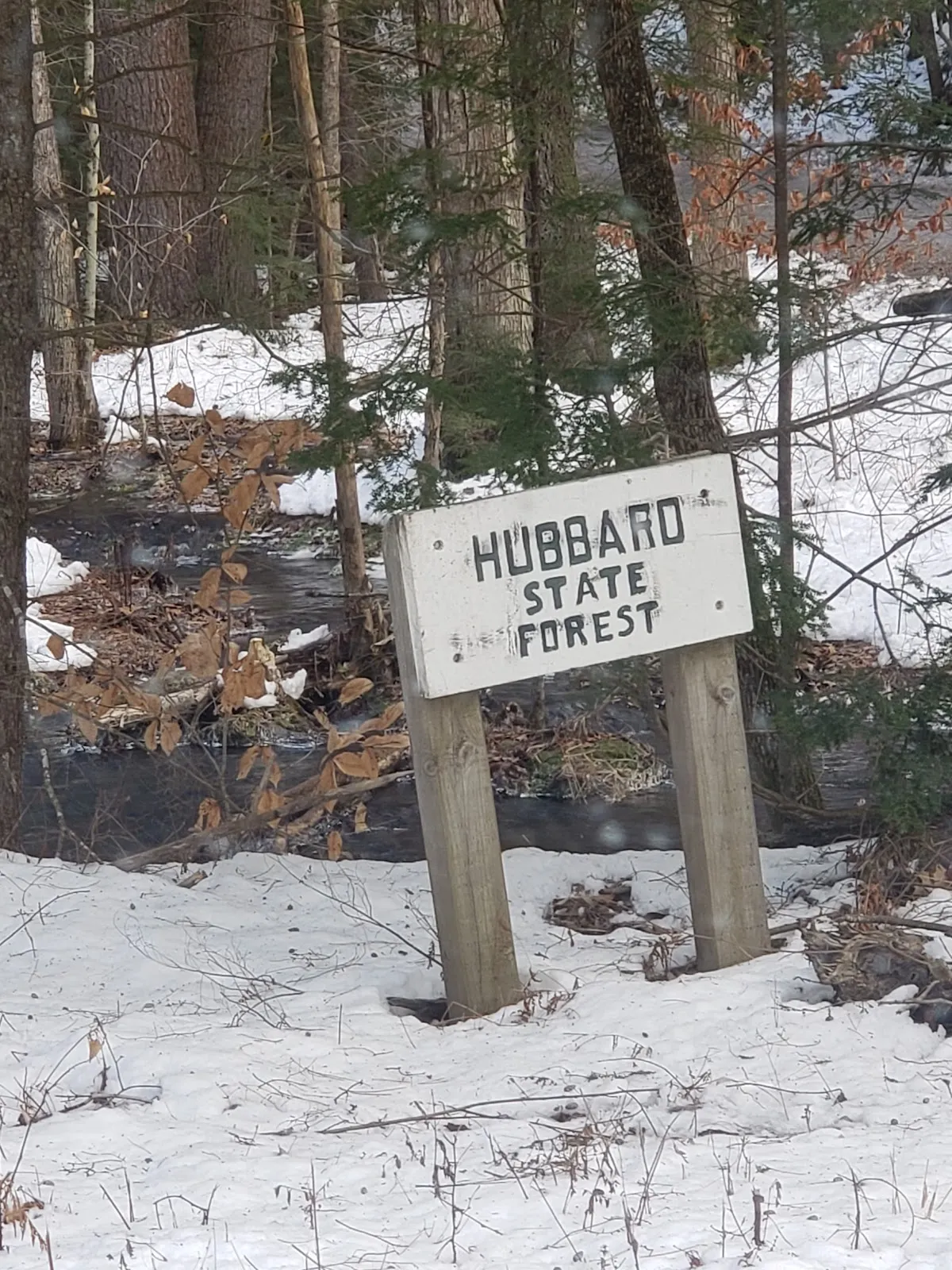 Hubbard State Forest Trailhead