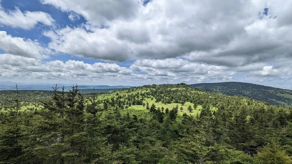 Mount Rogers National Recreation Area