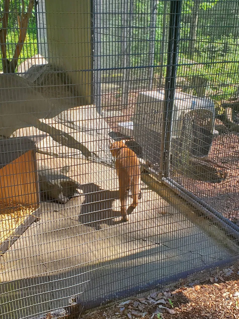 Trailside Museums & Zoo
