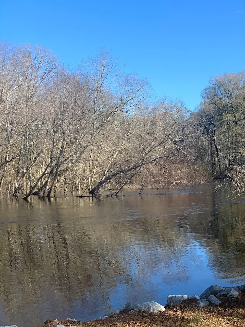 Edisto River