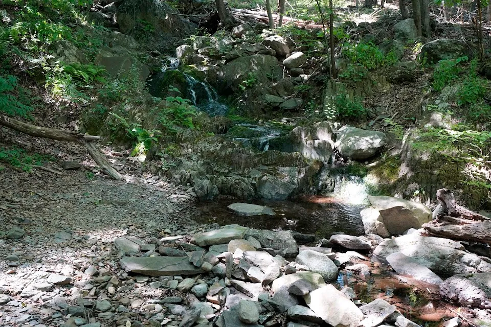 Schunnemunk Mountain Trail Head