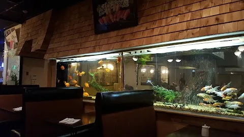 Mr Sushi & Grill