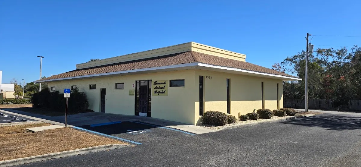Doghouse Grooming Salon