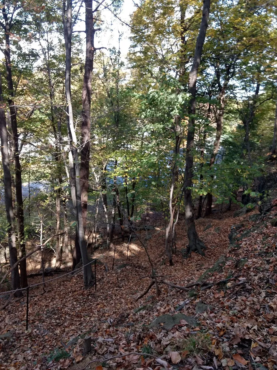 Hudson Highlands Wildlife Education Campus