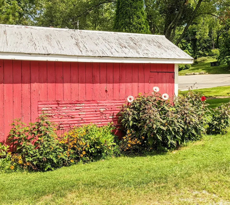 Scheuermann Farms & Greenhouses
