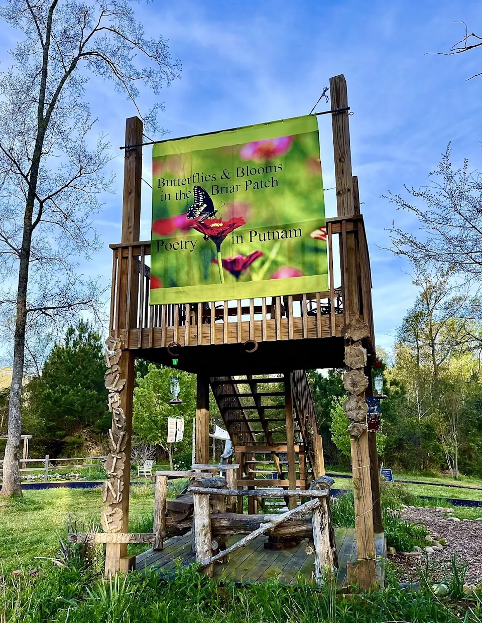 Butterflies & Blooms in the Briar Patch