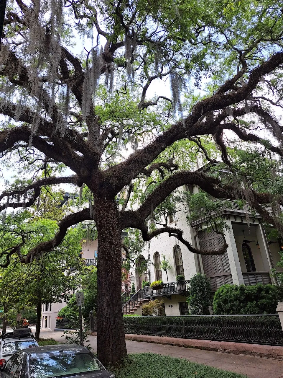 Old Town Trolley Tours of Savannah