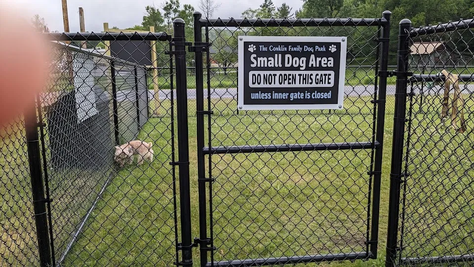 Dog Park