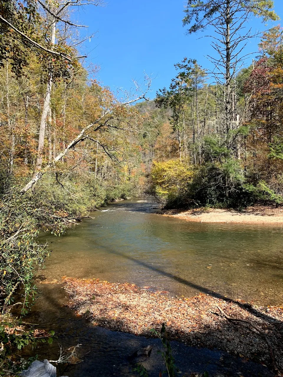 Coleman River Trail