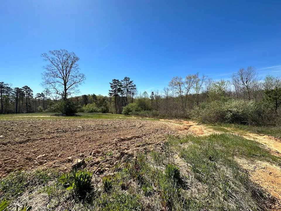 Dove Field