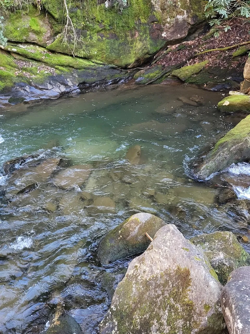 Upper Darnell Creek Falls