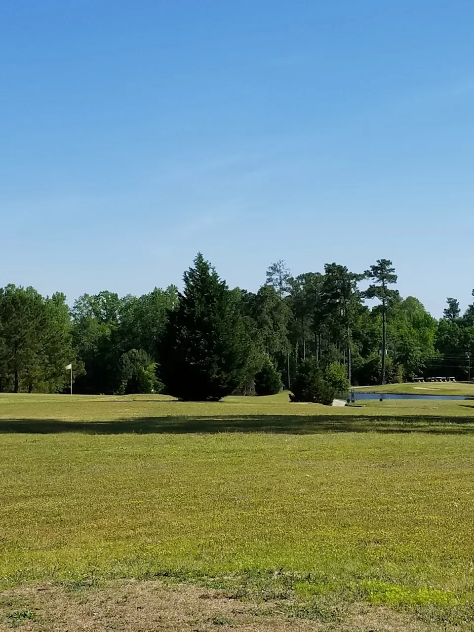 Shannon Greens Golf Club