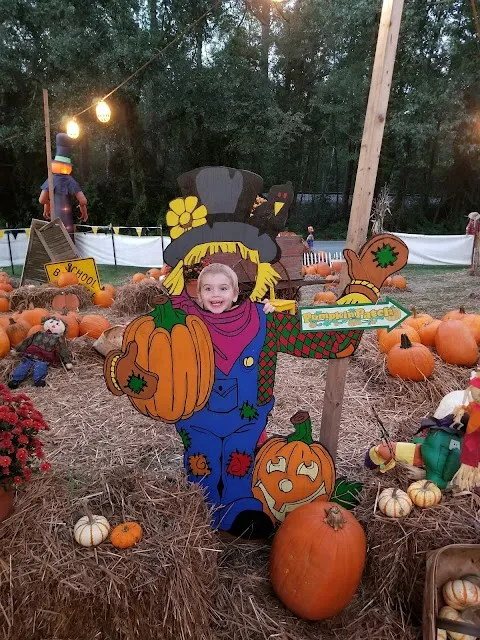The Pumpkin Patch At Mistletoe Lane’s