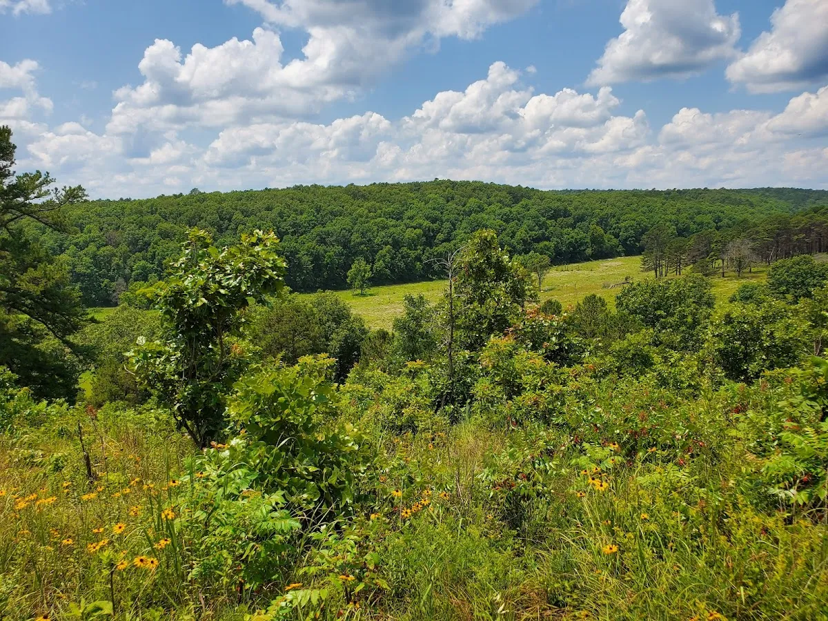 J T Nickel Family Nature And Wildlife Preserve