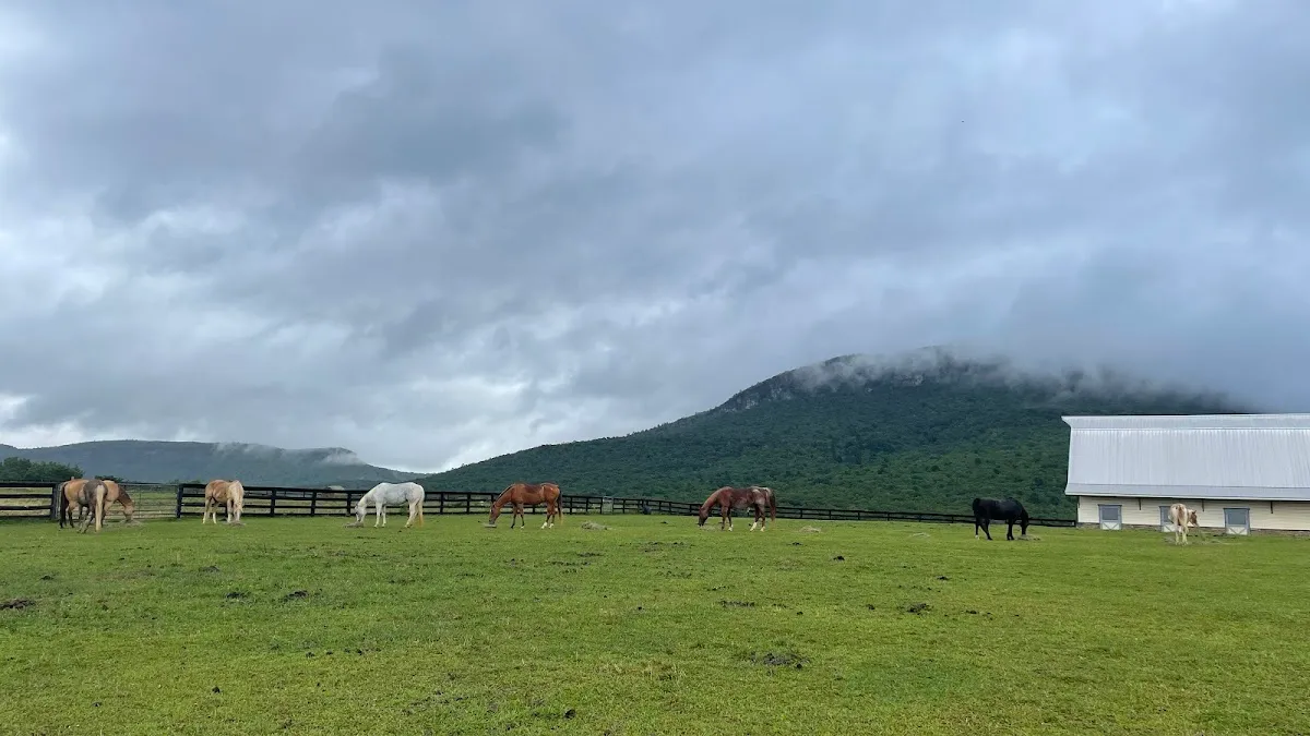 The Stables at Moore’s Springs